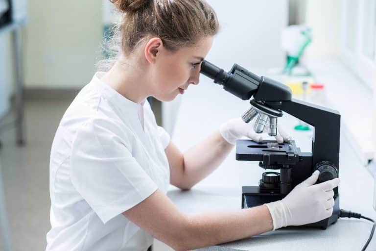 Devenir Biologiste Médical, Tout Ce Qu’il Faut Savoir